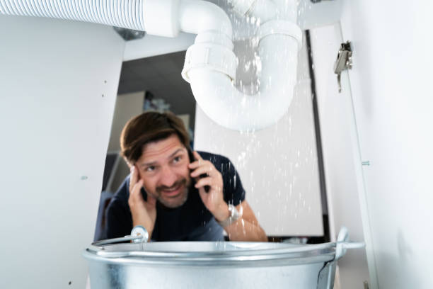 Best Commercial Plumbing Services  in Columbus, NM